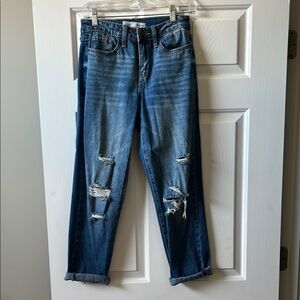 YMI Distressed Blue Jeans